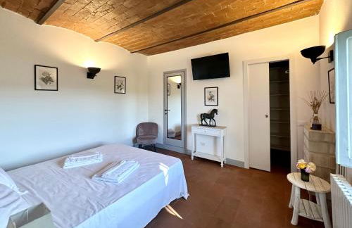 Podere di Montecchio - Foto 15