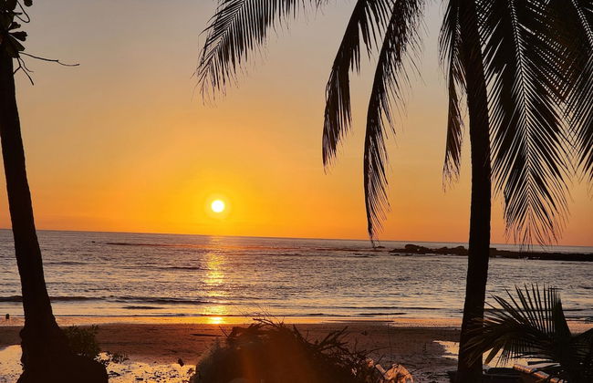 Casa Naranja Jungle Villa - Photo 18