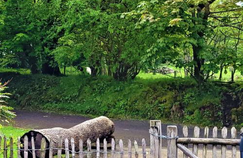 Dolgoy Coach House Loft - Photo 24