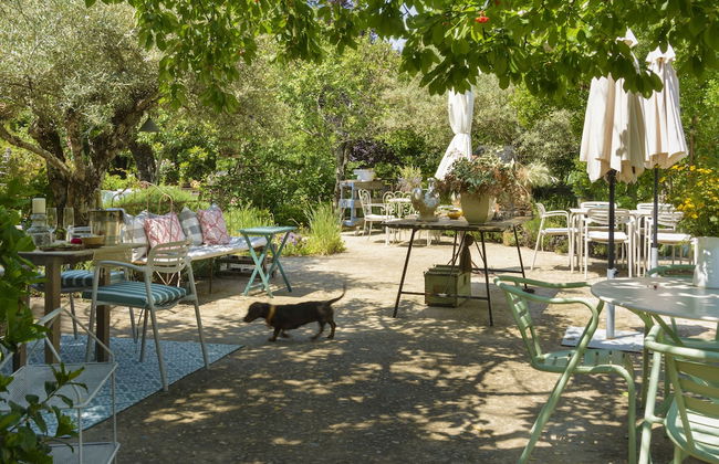 Vaquería Canta el Gallo - Photo 3