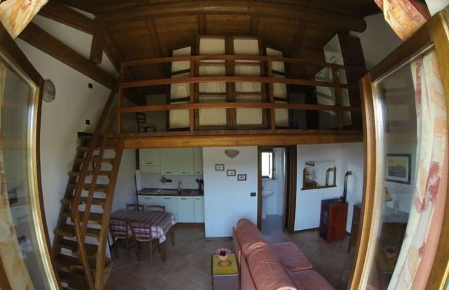 Agriturismo Cà Trinchè - Photo 14