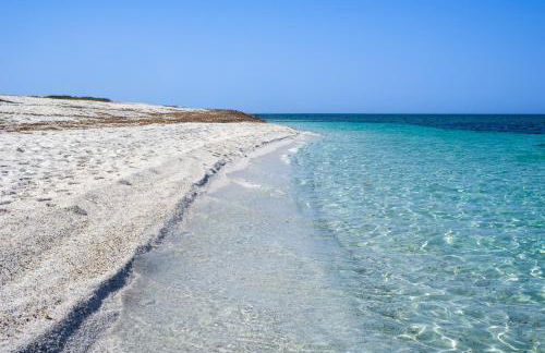 Da Assunta - Foto 31