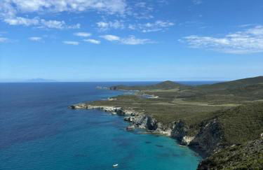 Vittoria Homes / Julia - Photo 23