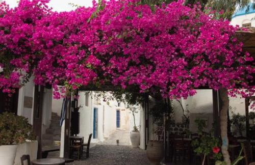 Villa Orpheus Santorini - Foto 13