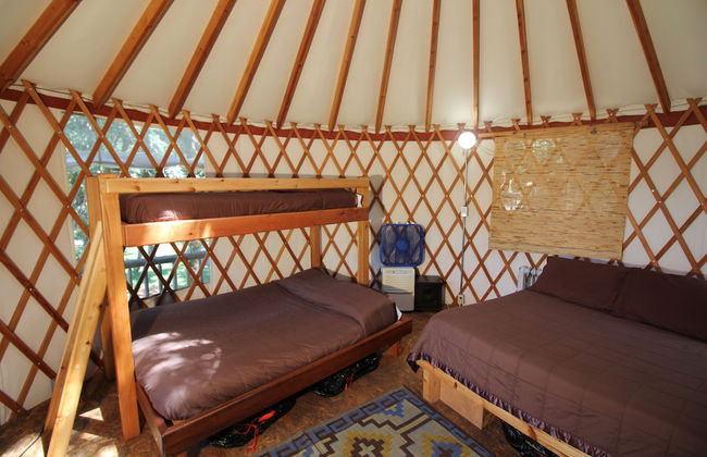 Out 'N' About Treehouse Treesort - Foto 46