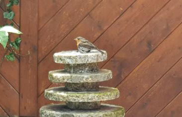 MOIN, MOIN & AHOI! - Foto 28