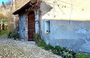 Il GLICINE - Foto 46