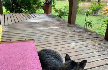 Bangalô dos Pássaros - Photo 7