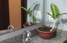 Apartamento Espaçoso Bairro Piracicamirim - Foto 20