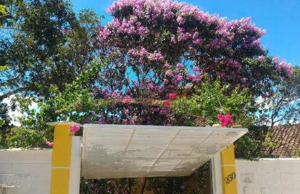 Chacara Sobrado Igarata - Foto 40