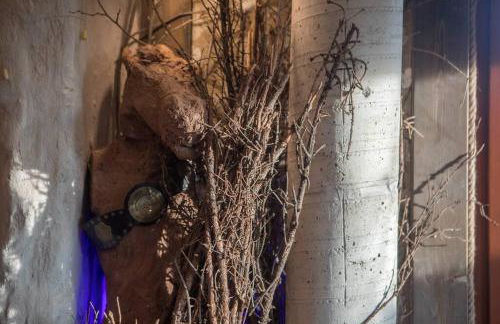 Saunowisko w Krągu - Straszydło - Photo 21