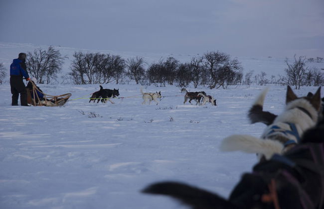 Nuorgam Holiday Village - Foto 41