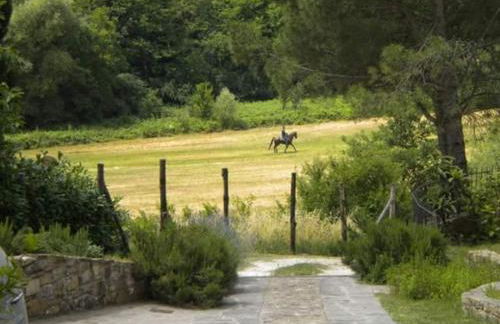 La Gufaia - holiday house with private pool near Florence - Foto 30