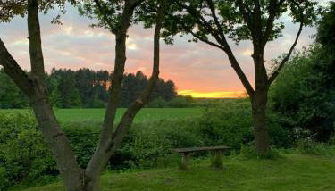 Beautiful 3 bedroom house, next to ancient wood near Holt and North Norfolk coast - Foto 3