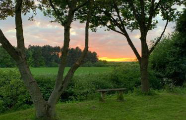 Beautiful 3 bedroom house, next to ancient wood near Holt and North Norfolk coast - Foto 3