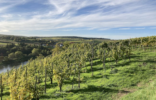 Palzem Riverside Escape - Foto 25