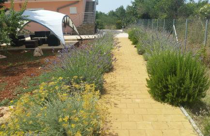 Olive Apartments - Photo 29