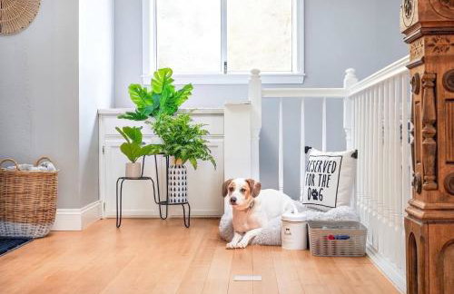 Summer Winterland Retreat-Hot Tub/Dog/Boyne/Schuss - Foto 23