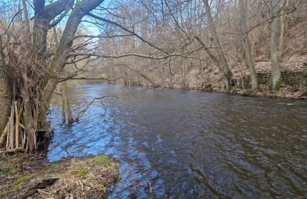 Haus Bodetal - Foto 6