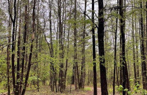 Private Retreat! Pool, Hot Tub, Awesome Views, Washer & Dryer, Wi-Fi, Near Rome, GA - Foto 64