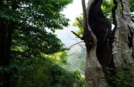 Casa da Quelha - Foto 49