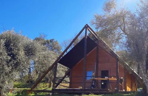 Quinta do Ragal - Photo 61