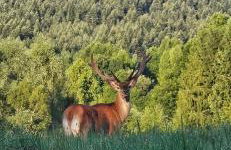 Domek u Hołąbków - Foto 10