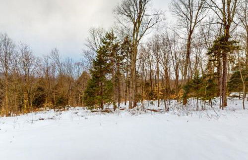 Mad River Masterpiece - Foto 26