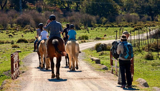 Sierra de Grazalema Horse Riding Tour - Foto 4