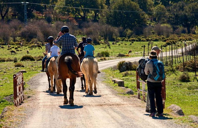 Sierra de Grazalema Horse Riding Tour - Foto 4