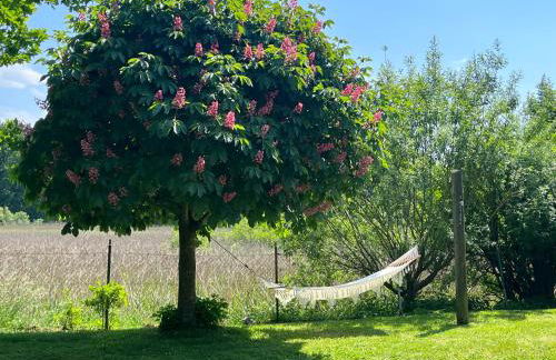 Idylisches Cottage mit Reh - Foto 20