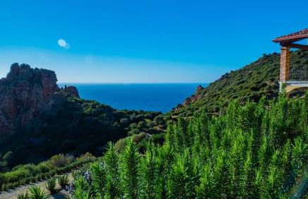 L'Emozione Tanca Piras - Foto 66