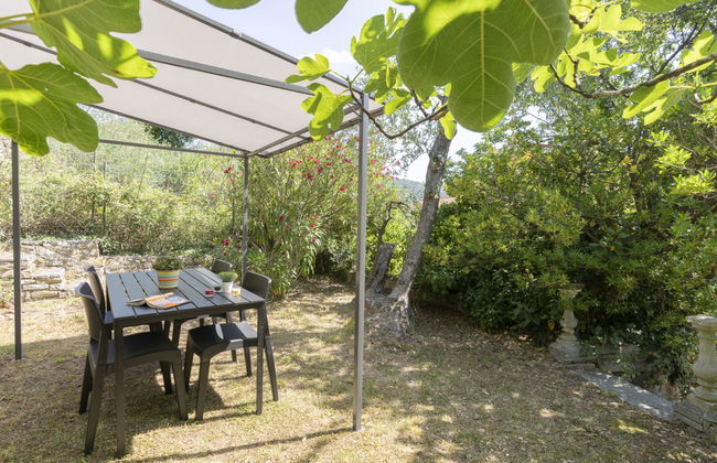 Verde Adagio - Foto 6