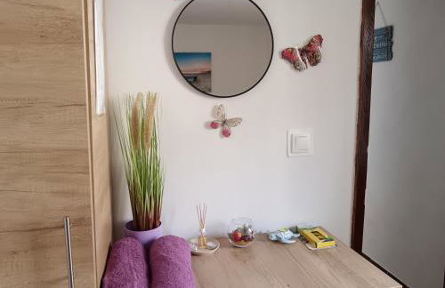 Studio apartment Dragana - Foto 11