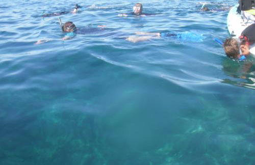 Alojamiento Rural El Brazal - Foto 40