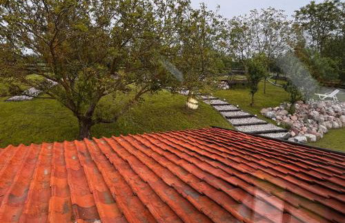 Miejski Las 8 - Foto 25