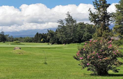 Ferns & Frogs Forest Hale 3 Bedroom Home by RedAwning - Foto 26