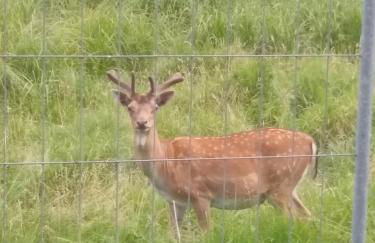 Haus der 16 Seen - Foto 53