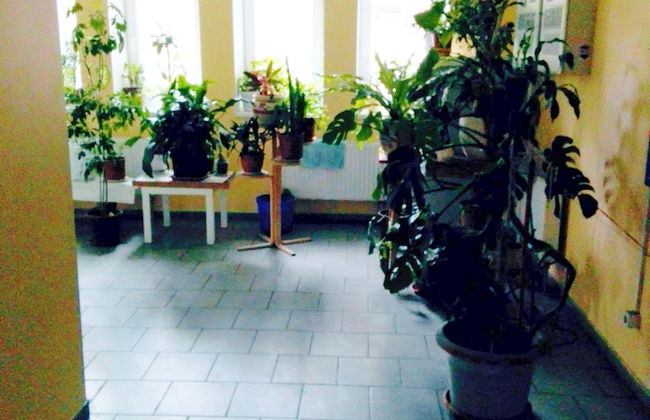 A-Rent in Kiev - Foto 4