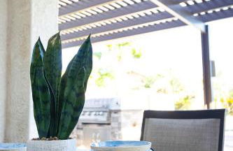 Creekside Queen Creek - Foto 75