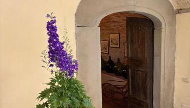 Agriturismo Le Pozze - Foto 5