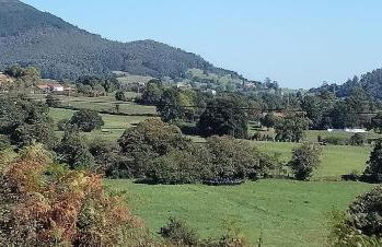 La Escuela de Premio - Foto 50