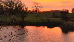 Sonnenwiese Großzügiges Haus mit Sauna und Kamin nahe Ostsee - Foto 2