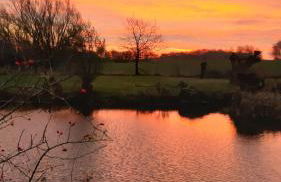 Sonnenwiese Großzügiges Haus mit Sauna und Kamin nahe Ostsee - Foto 2