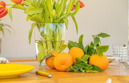 Casa RiVa - Among olive trees and the Tuscan coast - Photo 38