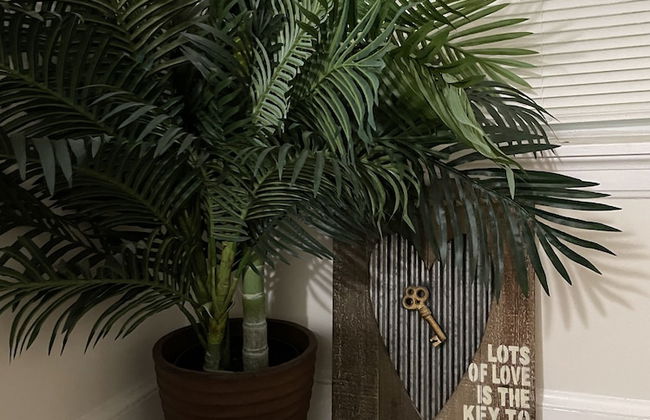 Entire Unit-5min to M&TBank Camden Yards - Foto 32