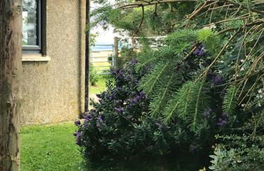 Crossgates, Rosehearty - Foto 7