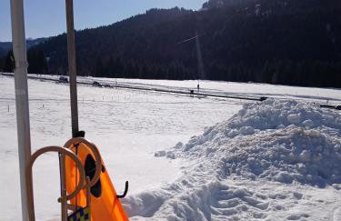 Ferienhof Steurer - Photo 27