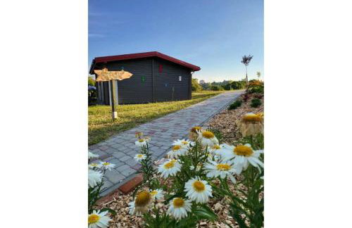 Domki na Górniej Łące - Domek Słowik - Foto 17