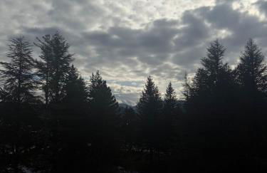 Natura, Sport, Relax in Pescasseroli Residence ERICA - Foto 18